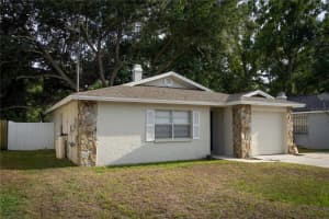 4703 SERENA DRIVE, TAMPA, FL 33617 - MLS#MFRTB8507735