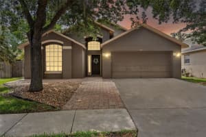 18944 Twinberry Dr, TAMPA