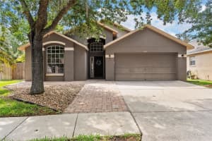 18944 TWINBERRY DRIVE, TAMPA, FL 33647 - MLS#MFRTB8507743