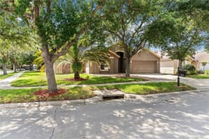 18944 TWINBERRY DRIVE, TAMPA, FL 33647 - MLS#MFRTB8507743