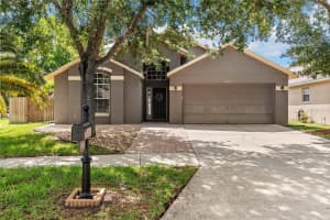 18944 TWINBERRY DRIVE, TAMPA, FL 33647 - MLS#MFRTB8507743