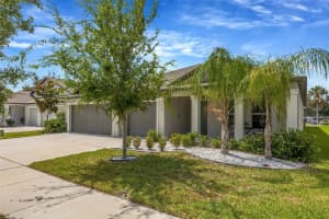 138 RAIN BERRY AVENUE, RUSKIN, FL 33570 - MLS#MFRTB8507799
