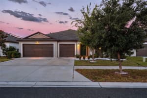 138 RAIN BERRY AVENUE, RUSKIN, FL 33570 - MLS#MFRTB8507799