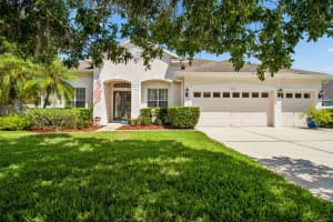 3452 WILLISTON LOOP, LAND O LAKES, FL 34639 - MLS#MFRTB8507836