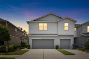 8738 TURNSTONE HAVEN PLACE, TAMPA, FL 33619 - MLS#MFRTB8507841