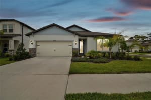 13144 PEACHLEAF AVENUE, RIVERVIEW, FL 33579 - MLS#MFRTB8507842