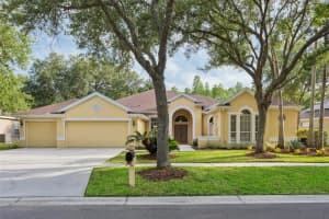 5306 Reflections Blvd, LUTZ