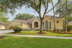 5306 REFLECTIONS BOULEVARD, LUTZ, FL 33558 - MLS#MFRTB8507872