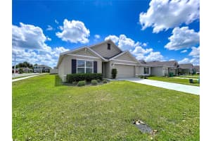 7804 DAVIE RAY DRIVE, ZEPHYRHILLS, FL 33540 - MLS#MFRTB8507902