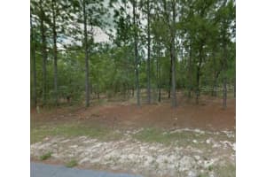 1204 FAN DRIVE, CITRUS SPRINGS, FL 34434 - MLS#MFRTB8507921