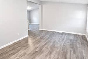 4517 LA FORCE STREET, ZEPHYRHILLS, FL 33542 - MLS#MFRTB8507958