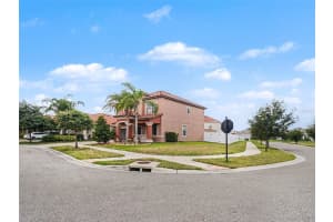 12027 CARDINAL FLOWER DR, RIVERVIEW, FL 33579 - MLS#MFRTB8507965
