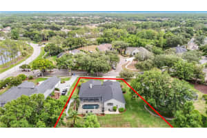 19128 CENTRE ROSE BOULEVARD, LUTZ, FL 33558 - MLS#MFRTB8507967