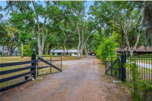 4314 STRAUSS ROAD, PLANT CITY, FL 33565 - MLS#MFRTB8507982