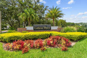 4108 SPARROW COURT, LUTZ, FL 33558 - MLS#MFRTB8508000