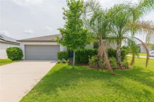 13608 WILLOW BLUESTAR LOOP, RIVERVIEW, FL 33579 - MLS#MFRTB8508010