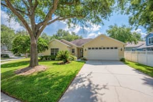 17610 Esprit Dr, TAMPA