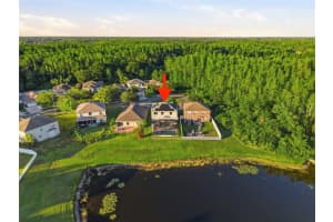 18133 BAHAMA BAY DRIVE, TAMPA, FL 33647 - MLS#MFRTB8508062