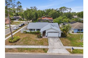 3052 HERON PLACE, CLEARWATER, FL 33762 - MLS#MFRTB8508069