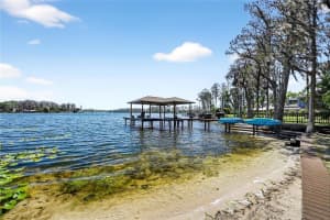 19801 GUNN HIGHWAY, ODESSA, FL 33556 - MLS#MFRTB8508080