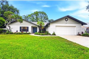 14817 Farnham Way, TAMPA