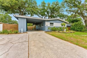 8018 N Ola Ave, TAMPA