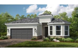 30117 Imperati Blvd, WESLEY CHAPEL 30117 Imperati Blvd, WESLEY CHAPEL