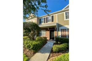 12415 Berkeley Square Dr, TAMPA