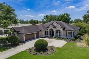 6105 AUDUBON MANOR BOULEVARD, LITHIA, FL 33547 - MLS#MFRTB8508175