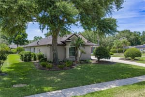 6105 AUDUBON MANOR BOULEVARD, LITHIA, FL 33547 - MLS#MFRTB8508175