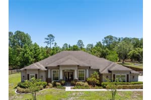 8224 Spring Forest Ln, WESLEY CHAPEL 8224 Spring Forest Ln, WESLEY CHAPEL