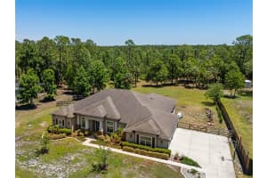 8224 SPRING FOREST LANE, WESLEY CHAPEL, FL 33544 - MLS#MFRTB8508179