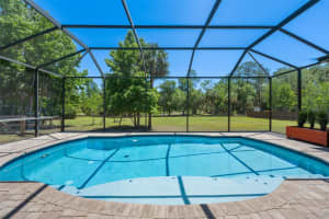 8224 SPRING FOREST LANE, WESLEY CHAPEL, FL 33544 - MLS#MFRTB8508179