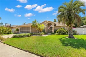 5453 EL CERRO DRIVE, NEW PORT RICHEY, FL 34655 - MLS#MFRTB8508181