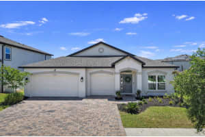 12048 ORCHID ASH STREET, RIVERVIEW, FL 33579 - MLS#MFRTB8508206