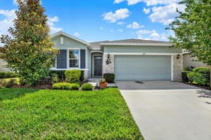 11934 CROSS VINE DRIVE, RIVERVIEW, FL 33579 - MLS#MFRTB8508219