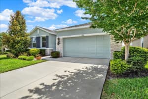 11934 CROSS VINE DRIVE, RIVERVIEW, FL 33579 - MLS#MFRTB8508219