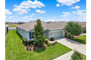 11934 CROSS VINE DRIVE, RIVERVIEW, FL 33579 - MLS#MFRTB8508219