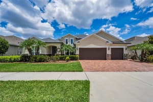 10520 Alcon Blue Dr, RIVERVIEW