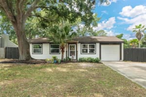 3042 Hanna Ct, PALM HARBOR 3042 Hanna Ct, PALM HARBOR