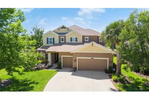 8791 BELLA VITA CIRCLE, LAND O LAKES, FL 34637 - MLS#MFRTB8508259