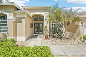 9607 BIRNAMWOOD STREET, RIVERVIEW, FL 33569 - MLS#MFRTB8508270