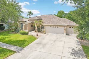 9607 BIRNAMWOOD STREET, RIVERVIEW, FL 33569 - MLS#MFRTB8508270
