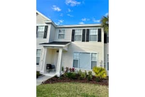 12276 Country White Cir, TAMPA