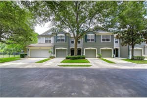 4906 CHATHAM GATE DRIVE, RIVERVIEW, FL 33578 - MLS#MFRTB8508305