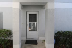 4113 GRADSTONE PLACE, TAMPA, FL 33617 - MLS#MFRTB8508309
