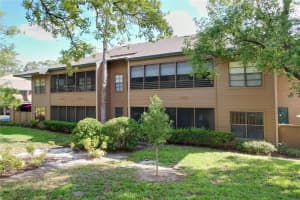 1006 LENNOX ROAD, PALM HARBOR, FL 34683 - MLS#MFRTB8508324