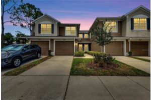 2041 RIVER TURIA CIRCLE, RIVERVIEW, FL 33578 - MLS#MFRTB8508333