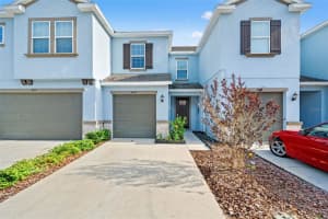6612 CITRUS CREEK LANE, TAMPA, FL 33625 - MLS#MFRTB8508365