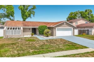 16206 Fantasia Dr, TAMPA
